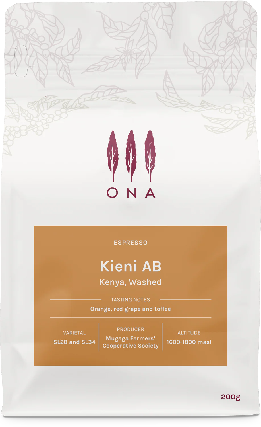 Kieni AB, Kenya, Washed Espresso