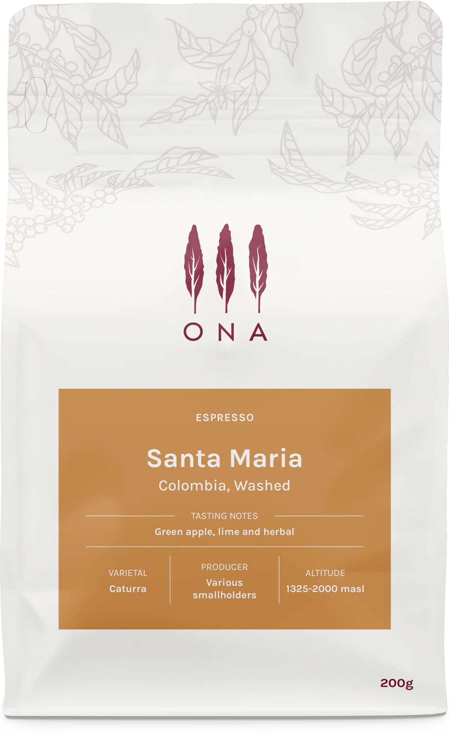 Santa Maria, Colombia, Washed Espresso